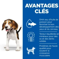 Hill's - Patees chien science plan puppy poulet (boite) - 12*370 g Online