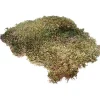 Hobby Décoration Et Substrats | - Mousse naturelle pour terrarium