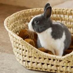Home Maison - - panier osier pour chat Sale