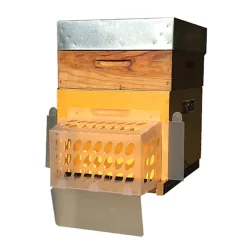 Icko apiculture - Bouclier STOP-IT anti-frelon asiatique Hot