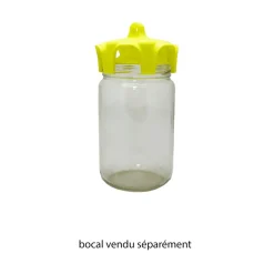 Icko apiculture Apiculture | - Sachet de 4 pièges à frelons, guêpes et mouches - Vaso Trap