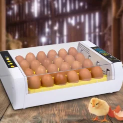 Idmarket - Couveuse automatique 24 oeufs incubateur autonome intelligent Best