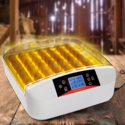Idmarket - Couveuse pro automatique 56 oeufs éclairés incubateur autonome avec led mire oeufs Best