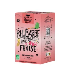 NA Infusion bio : rhubarbe, gingembre et fraise - 16 sachets