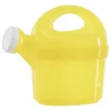 Intex - Arrosoirs palletes Outlet