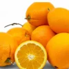 Jardintropic Fruitiers Et Agrumes | - Citrus sinensis var.navelate (orange la meilleure tout simplement) pot de 9 litres -140/160 cm