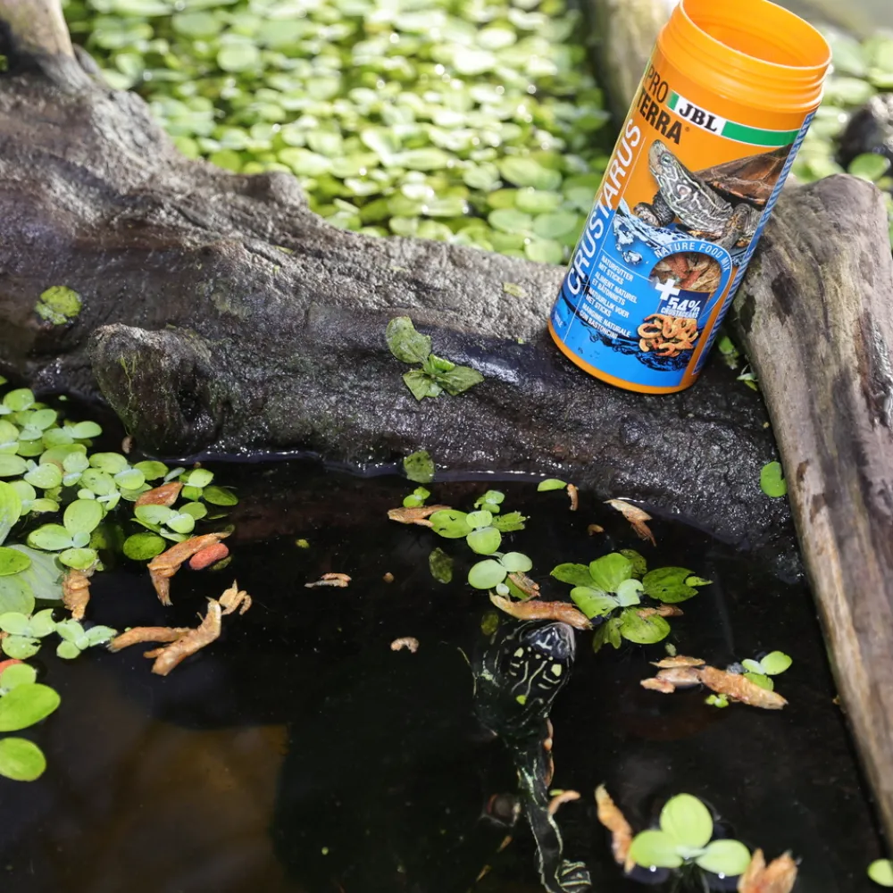 JBL - Crustarus, alimentation pour tortues d’eau : 250ml Clearance