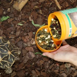 JBL Alimentation | - Fructil, alimentation pour tortues terrestres : 250ml