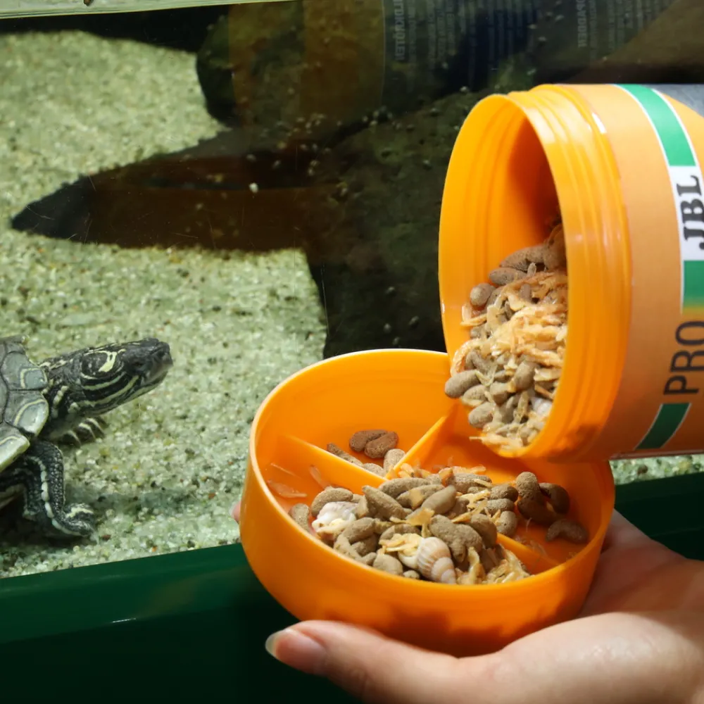 JBL - Molluscus, alimentation pour tortues d’eau : 250ml Best
