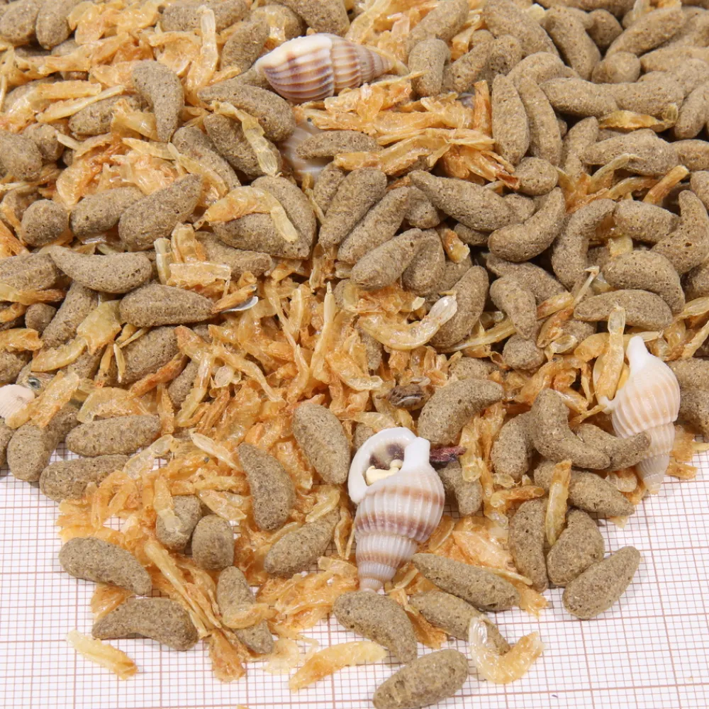 JBL - Molluscus, alimentation pour tortues d’eau : 250ml Best