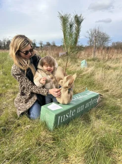 Juste Un Arbre. Arbres Et Arbustes | - Chêne pédonculé | offrez un arbre pour célébrer les grands moments de vie (naissance, mariage). Un cadeau unique.