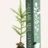 Juste Un Arbre. Conifères | - Melèze d'europe | offrez un arbre pour célébrer les grands moments de vie (naissance, mariage). Un cadeau unique.