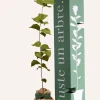 Juste Un Arbre. Fruitiers Et Agrumes | - Noisetier | offrez un arbre pour célébrer les grands moments de vie (naissance, mariage). Un cadeau unique.