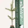 Juste Un Arbre. - Pin sylvestre | offrez un arbre pour célébrer les grands moments de vie (naissance, mariage). Un cadeau unique. New