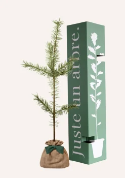 Juste Un Arbre. - Pin sylvestre | offrez un arbre pour célébrer les grands moments de vie (naissance, mariage). Un cadeau unique. New