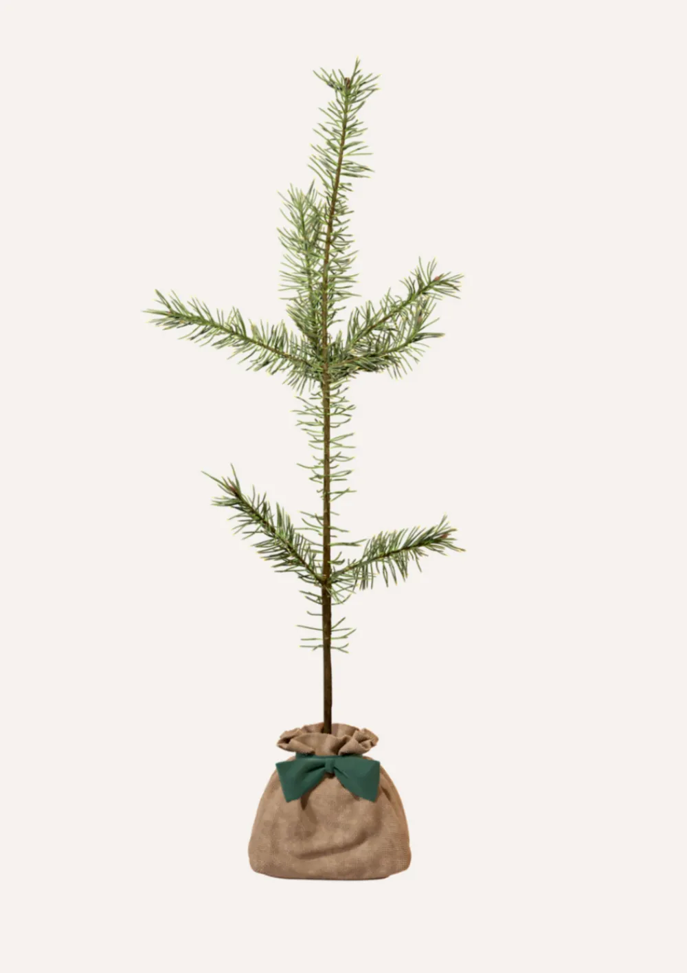 Juste Un Arbre. - Pin sylvestre | offrez un arbre pour célébrer les grands moments de vie (naissance, mariage). Un cadeau unique. New