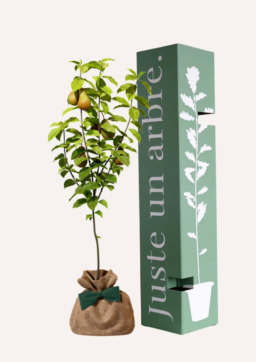 Juste Un Arbre. - Poirier conférence | arbre cadeau naissance, mariage, baptême, anniversaire - cadeau naturel qui dure toute la vie.