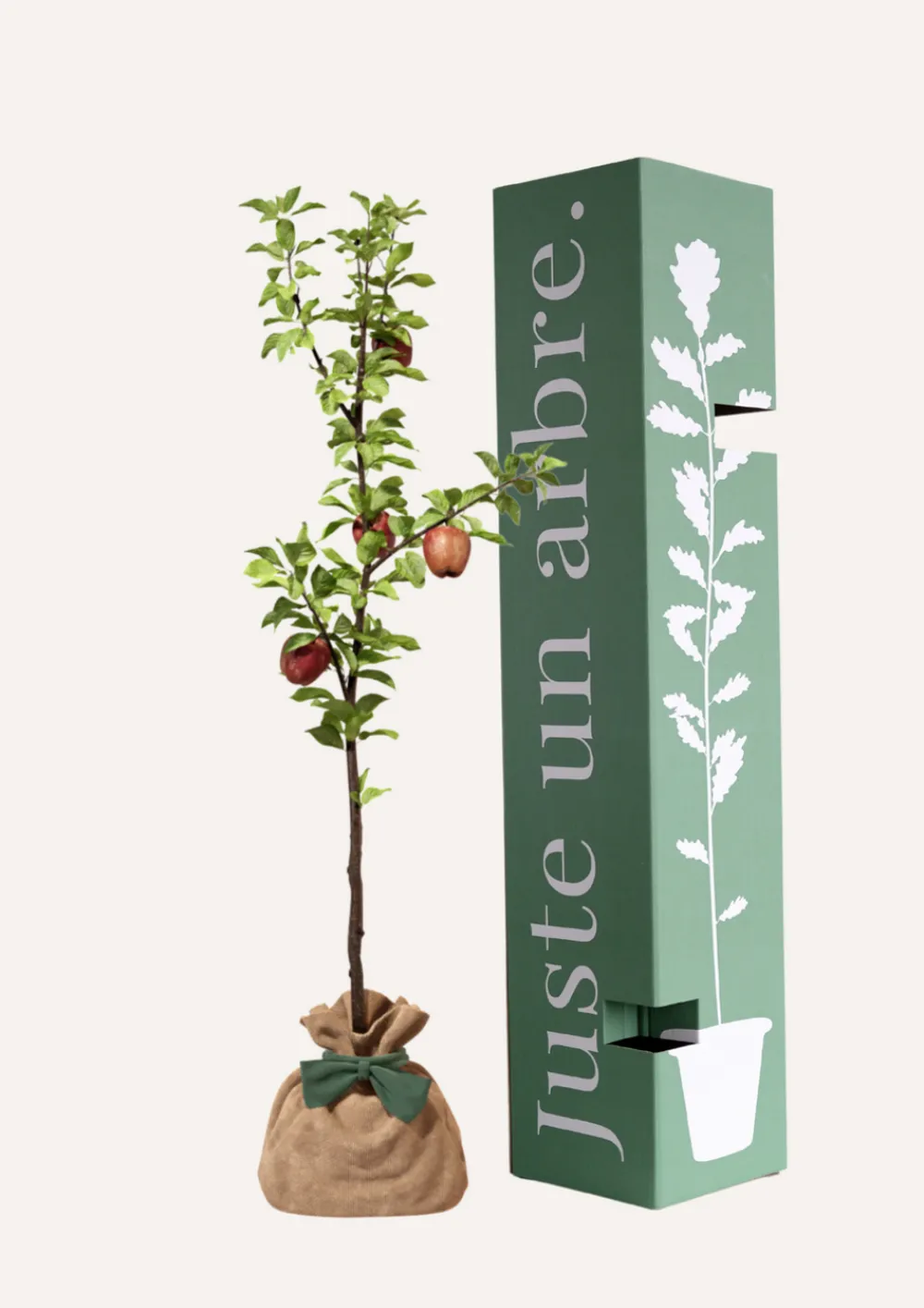 Juste Un Arbre. Fruitiers Et Agrumes | - Pommier "reine des reinettes" | offrez un arbre pour célébrer les grands moments de vie (naissance, mariage).