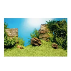 Juwel Plantes Et Décoration | - Poster XL : 150 x 60 cm