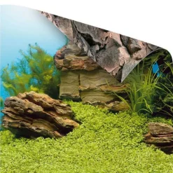 Juwel Plantes Et Décoration | - Poster XL : 150 x 60 cm
