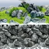 Juwel - Poster Décoratif 4 Rock & Aqua pour Aquarium Taille S New