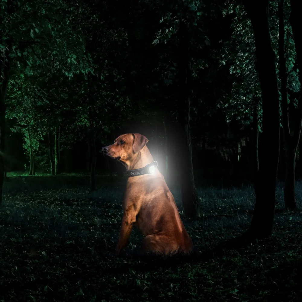 Kippy - GPS et moniteur d'activité Evo Brown Wood pour chien & chat