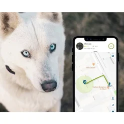 Kippy - GPS et moniteur d'activité Evo Brown Wood pour chien & chat