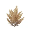 ksd déco KSD DÉCO - Branche herbe de la pampa à clipser h 20 cm Outlet