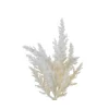 ksd déco Fleurs Et Plantes Artificielles | KSD DÉCO - Tige Herbe de la pampa plastique h 20 cm