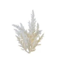 ksd déco Fleurs Et Plantes Artificielles | KSD DÉCO - Tige Herbe de la pampa plastique h 20 cm