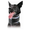 Kvp - Collier cervical pour chiens noir (18-53 cm) New