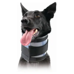 Kvp - Collier cervical pour chiens noir (18-53 cm) New
