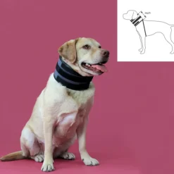 Kvp - Collier cervical pour chiens noir (13-48 cm) Discount