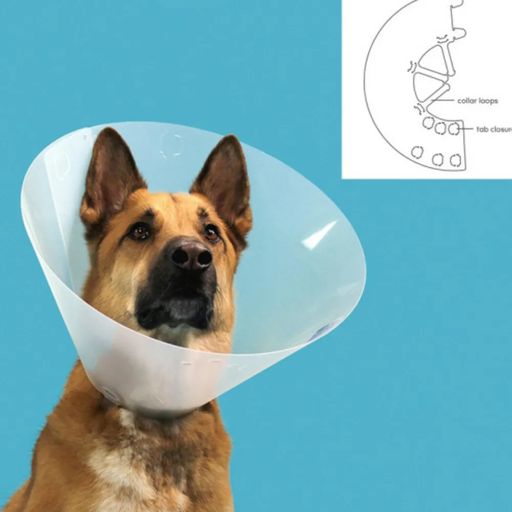 Kvp Education | - Collier de protection isabelino pour chiens quick fit transparent (39-48 cm)