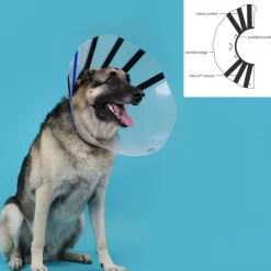 Kvp - Collier de protection isabelino pour chiens ez clear (32-39 cm)