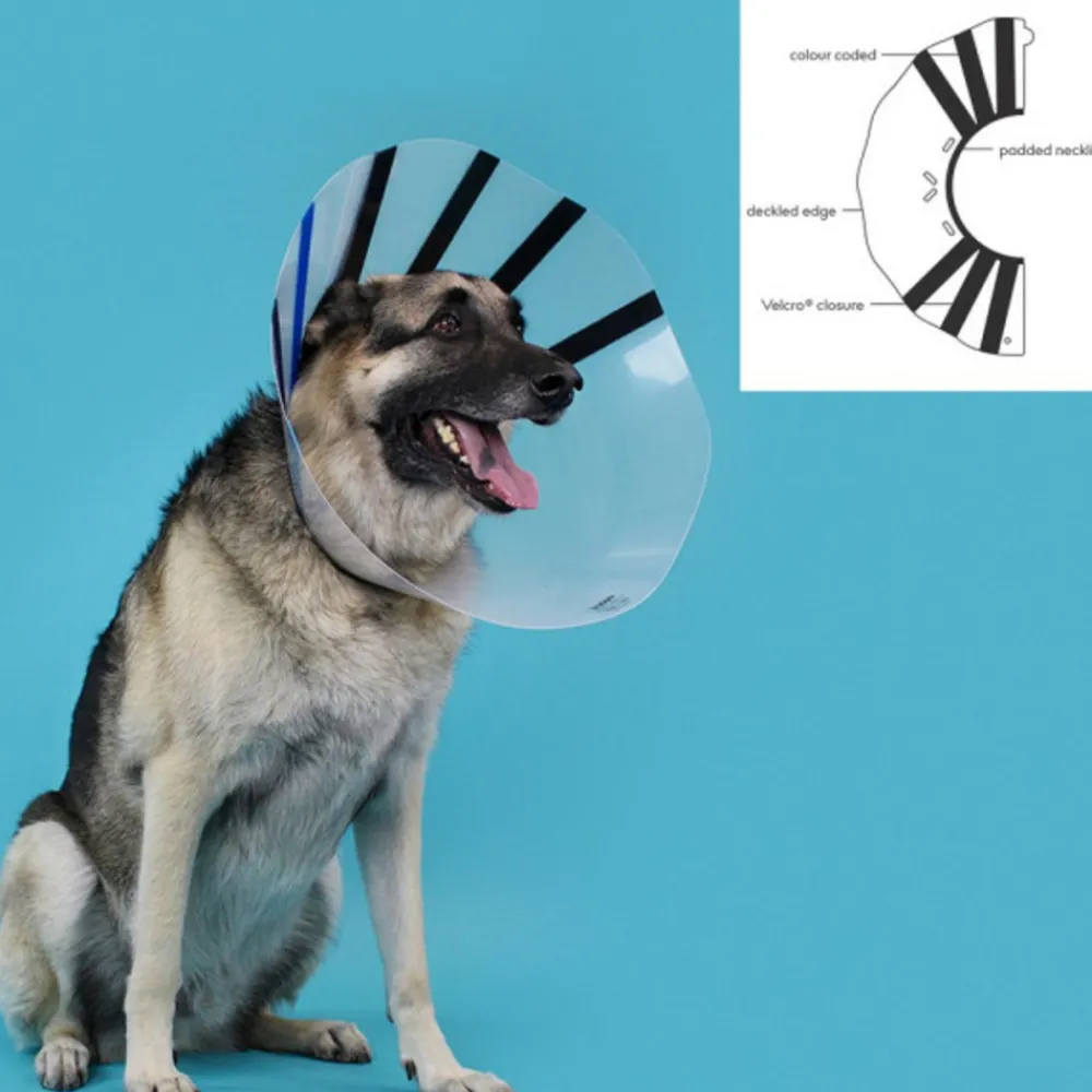 Kvp Education | - Collier de protection isabelino pour chiens quick fit transparent (45-56 cm)