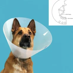 Kvp Education | - Collier de protection isabelino pour chiens quick fit transparent (33-40 cm)