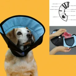 Kvp - Collier de protection isabelino pour chiens calmer multicouleur (15-23 cm) Online