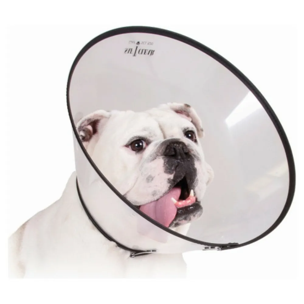 Kvp Colliers Et Laisses Pour Chats | - Collier de protection isabelino pour chiens saf-t-clear transparent (30-76 cm)