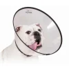 Kvp Colliers Et Laisses Pour Chats | - Collier de protection isabelino pour chiens saf-t-clear (38-63 cm)