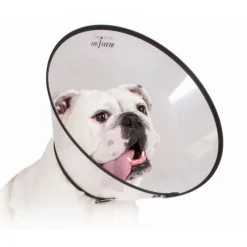 Kvp Colliers Et Laisses Pour Chats | - Collier de protection isabelino pour chiens saf-t-clear (38-63 cm)