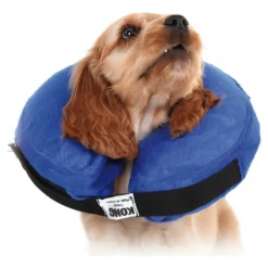 Kvp - Collier de récupération pour chiens kong cloud bleu gonflable Outlet