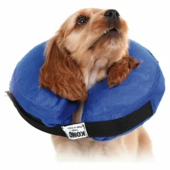 Kvp - Collier de récupération pour chiens kong cloud bleu gonflable (15-25 cm) Best