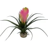 Labeo - Plante artificielle pour terrarium H21cm Discount