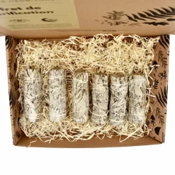 La Bougie Herbivore Bougies, Senteurs Et Bien-Être | - Lot de 6 Bâtons de Sauge Blanche – Rituel de Purification Naturelle