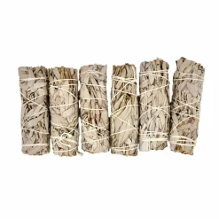 La Bougie Herbivore Bougies, Senteurs Et Bien-Être | - Lot de 6 Bâtons de Sauge Blanche – Rituel de Purification Naturelle