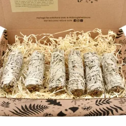 La Bougie Herbivore Bougies, Senteurs Et Bien-Être | - Lot de 6 Bâtons de Sauge Blanche – Rituel de Purification Naturelle
