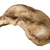 La Ferme Tropicale Décoration Et Substrats | - Cachette large pour reptile 29 x 19,5 x 12 cm - grotte pour reptiles (lézards, serpents, tortues), amphibiens et invertébrés