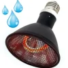 La Ferme Tropicale - Lampe à résistance chauffante - deep heat splash proof - 100w - ampoule / chauffage pour reptiles (lézards, serpents), amphibie Sale