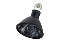 La Ferme Tropicale - Lampe à résistance chauffante - deep heat splash proof - 100w - ampoule / chauffage pour reptiles (lézards, serpents), amphibie Sale